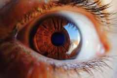coyot-eye-4103308_1920-1